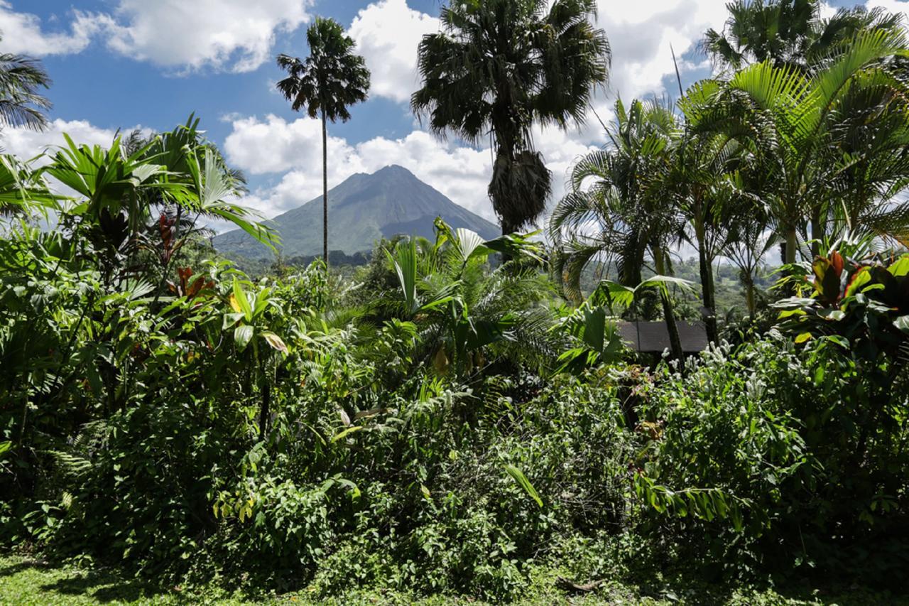 Arenal Paraiso Resort Spa & Thermo Mineral Hot Springs La Fortuna Esterno foto